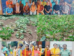 Camat Tobu Menilai YMTM dan Caritas Australia berhasil dampingi para kelompok tani di desa Tune- TTS.