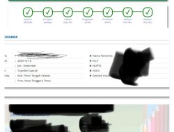Sejumlah Guru di TTS  Keluhkan Banyak Hak Tak Kunjung Dibayarkan, Sertifikasi hingga Tunjangan Terpencil