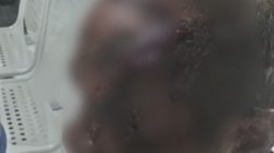 Diduga Selingkuh dengan Istri Orang, Kepala Desa Nununamat di Kolbano Dihajar Massa Hingga Babak Belur