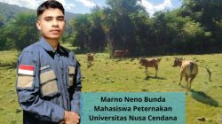 MENGGUGAT PARADIGMA PETERNAKAN KONVENSIONAL DI PULAU TIMOR: URGENSI TRANSFORMASI MANAJEMEN DAN INOVASI SIRKULAR LIVESTOCK SEBAGAI MODEL PETERNAKAN BERKELANJUTAN DI LAHAN KERING 2 IMG 20260526 WA0159