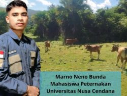 MENGGUGAT PARADIGMA PETERNAKAN KONVENSIONAL DI PULAU TIMOR: URGENSI TRANSFORMASI MANAJEMEN DAN INOVASI SIRKULAR LIVESTOCK SEBAGAI MODEL PETERNAKAN BERKELANJUTAN DI LAHAN KERING
