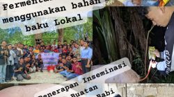 Revitalisasi Peternakan Babi di Pulau Timor, NTT melalui Transformasi Manajemen dan Adopsi Teknologi