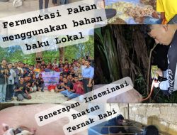 Revitalisasi Peternakan Babi di Pulau Timor, NTT melalui Transformasi Manajemen dan Adopsi Teknologi