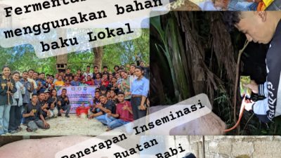 Revitalisasi Peternakan Babi di Pulau Timor, NTT melalui Transformasi Manajemen dan Adopsi Teknologi