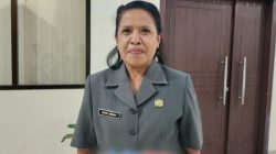 Hasil Audit Dana Desa Spaha Rampung, Inspektorat TTS Sebut Sudah Diserahkan ke Bupati