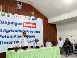 Plan Indonesia Dorong Petani Flores Timur Adopsi Model Pertanian Berbasis Kaum Muda