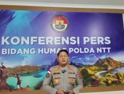 Kasus Kuota Sapi TTS Terus Diusut, Polda NTT Sita Barang Bukti dan Periksa 12 Saksi