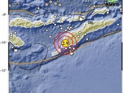 Gempa Tektonik M5,5 Guncang Kabupaten Kupang, BMKG Pastikan Tidak Berpotensi Tsunami