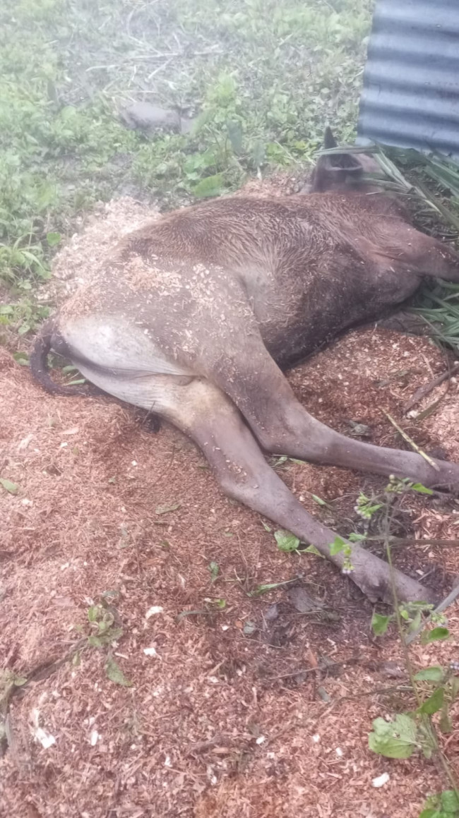 IMG 20260730 WA0003