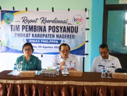 Posyandu Nagekeo Tak Lagi Sekadar Urusan Kesehatan
