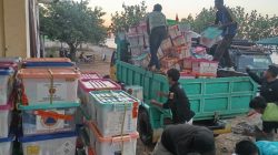 BNPB Salurkan Bantuan Logistik Melalui Jalur Laut untuk Masyarakat Terdampak Gempa di Pulau Palue, Sikka 2 IMG 20260817 WA1388