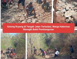 Gotong Royong di Tengah Jalan Terisolasi, Warga Halerman Menagih Bukti Pembangunan