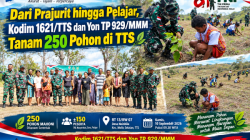 Dari Prajurit hingga Pelajar, Kodim 1621/TTS dan Yon TP 929/MMM Tanam 250 Pohon di Desa Noinbila