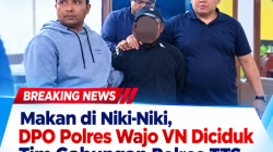 Makan di Niki-Niki, DPO Polres Wajo VN Diciduk Tim Gabungan Polres TTS 2 file 000000009ef481fa9768a1d3c71933a0