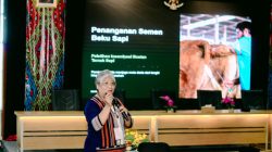 Prof. Dr. Ir. Wilmientje Marlene Nalley Paparkan Rahasia Keberhasilan Inseminasi Buatan Sapi di Kupang 3 IMG 20261015 WA0049