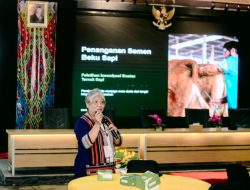 Prof. Dr. Ir. Wilmientje Marlene Nalley Paparkan Rahasia Keberhasilan Inseminasi Buatan Sapi di Kupang
