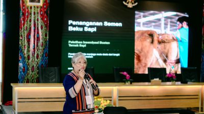 Prof. Dr. Ir. Wilmientje Marlene Nalley Paparkan Rahasia Keberhasilan Inseminasi Buatan Sapi di Kupang 6 IMG 20261015 WA0049