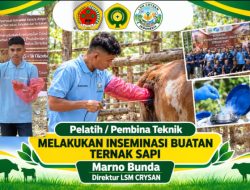 Dari CRYSAN untuk Peternak NTT : Marno Bunda Jadi Pelatih Inseminasi Buatan Ternak Sapi