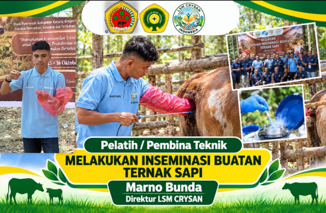 Dari CRYSAN untuk Peternak NTT : Marno Bunda Jadi Pelatih Inseminasi Buatan Ternak Sapi 1 IMG 20261017 WA0003
