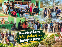 Dari Pelosok Kie, Nekmese Bangun Harapan Baru Lewat Ternak